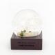 Square Base 100mm 3d University Anniversary Snow Globe