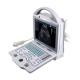 10.4'' LED Display Portable Laptop Veterinary Ultrasound Machine 256 Frames