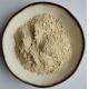 Original Factory Supply Troxerutin EP10.0 Sophora Japonica Extract Powder