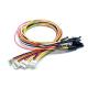 OEM Customize Shielded Cable Auto Accessories Wire Harness for Oceania Market Needs