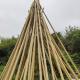 Natural Garden Bamboo Sticks For Indoor Outdoor Tomatoes Potted Plants Support Stakes