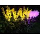 Solar Artificial rape Flower Lights Ground Decoration Lawn Lamp