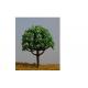 Colorful model  trees----model trees,miniature artificial trees, mode materials,fake trees