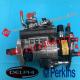 Fuel Injection Common Rail Pump 9320A533H 9320A215G 9320A225G For Delphi Perkins JCB