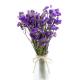 Brightly Colored Purple Limonium Flower Forget Me Not For Decoration