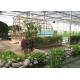 Fish Farming Garden Glass Greenhouse Strong Drainage Capacity 8m*4m Dimension