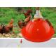 Poultry Drinking Lines System 80pcs Chicken Feeders And Drinkers