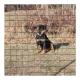 1''x 1'' 1''x1/2'' after Welded Wire Mesh Fence Roll for Animal Cage Bending Service
