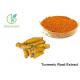 95% Curcumins Natural Food Pigments Turmeric Root Extract Anti - Inflammatory
