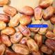 8-Lane Palm Dates Sorting Machine AI Deep Learning Size Sorting 2.0 Tons per Hour