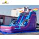 Backyard Inflatable Water Slide Pink Blue Rainbow Horse Design For Kids