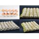 Large Capacity Pulp Molding Equipment Egg Tray Egg Carton Production Line