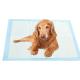 OEM Service Supported Puppy Dog Training Pet Toilet Pee Pads with Fiber and Item Type