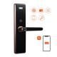 Alkaline Battery WIFI Electronic Door Lock FCC TUYA APP Fingerprint Door Lock