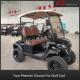 2 Seater Off Road Golf Cart Steel Frame Electric Vehicle 5kw AC Motor