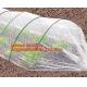 Transparent Low Tunnel Film Perforated For Culture Of Seedling Maturing Vegetables perforated red plastic mulch