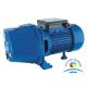 Copper Winding Marine Jet Pump Self Priming Water Pumps With Brass Impeller