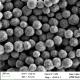 300nm 50 mg / mL 10 mL Carboxyl Magnetic Beads For DNA Extraction SC