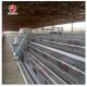 A Type 90/96/120/128/160 Birds Layer Chicken Cage System Farming 3 Tiers
