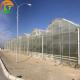 LiTai Multi-Span Film Greenhouse 10-100m Length for Hydroponic Microgreens Harvesting