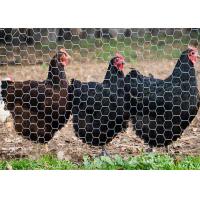 Crab Lobster Fish Trap Chicken Wire Netting Galvanized Hexagonal Wire Mesh