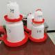 Poultry Automatic Animal Water Drinker PP Chicken Drinker Bucket For Chicken