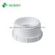 Forged PVC Pressure Fitting Female and Male Threaded Adapter for Corrosion Resistance