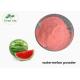 Natural Water Soluble Watermelon Extract Powder Instant Watermelon Juice Powder For Beverage