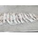 Freshness Squid Dried Fish Chinensis 18cm - 25cm Iso Certification