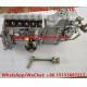 High pressure fuel injection pump assembly BH6PA110R , 6R4ZLD310100
