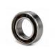 Quad Skate Smooth 6004 Single Row Deep Groove Bearing