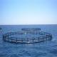 Black Floating Fish Cage Circular Shape Customized Color Crack Resistance