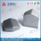 WC Co Cemented carbide TBM Disc Cutter  shield cutting OEM / ODM
