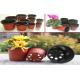 1.5 Gallon Garden Flower Pot Horticultural Plant Round Plant Flowerpot