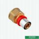 Customized Female Threaded Coupling Compression Double Straight Brass Press Union Fittings For Pex Aluminum Pex Pipe