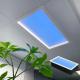 5000LM LED Panel Light for Indoor Ceiling 295*295MM Frame Size and 0.9 Power Factor