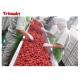 Berry Juice Processing Machine Blueberry Beverage Processing Line  juice concentrate