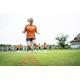 High Density Artificial Synthetic Lawn Turf Green Grass Carpet