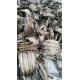 Dried whole Earthworm，Pheretima aspergillum (E. Perrier),PberetimaChinese Name:Dilong
