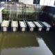 MBR Hollow Fiber Membrane Bioreactor Sewage Treatment