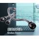 46CM Double Hole Swivel Spout , Mixer Tap Spout With Silver Plated Sprayer