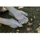 Waterproof Gardening Disposable TPE Gloves For Cleaning