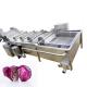 Stainless Steel Apple Pear Mango Vegetable And Fruit Washing Machine