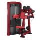 Commercial Heavy Duty Gym Machine Shoulder Lateral Raise Fitness Equipment
