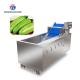 Ozonation Hyperbaric Spraying Fruit And Vegetable Washing Machine SS