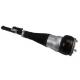 Mercedes Benz W222 Rear Left and Right Airmatic Suspension Shock Absorber A2223200313 A2223200413