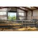 Customizable C.Z Shape Steel Channel Purlin Sheep Shed House for Livestock Management