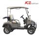 2 Seaters Silver Color Electric Mini Golf Cart Traveling Range 80KM