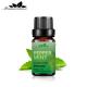 100ml 100% Pure Natural Peppermint Oil Massage Oil Aromatherapy USDA COA
