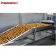 Industrial Automatic Fruit Sorting Machine Weight Grading Efficient